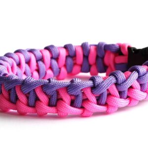ColorVibe-Hundehalsband-lila-pink