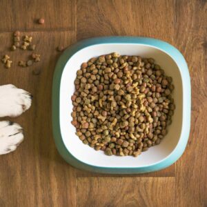 Premium-Hundefutter-Dog's-Love